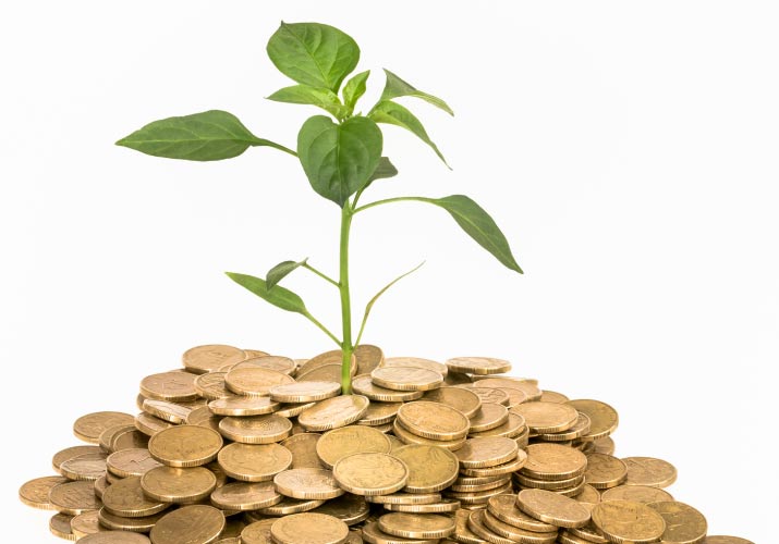 Mądre oszczędzanie, czyli 5 zasad eko - kupowania - z monet wyrasta zielona roślinka. 