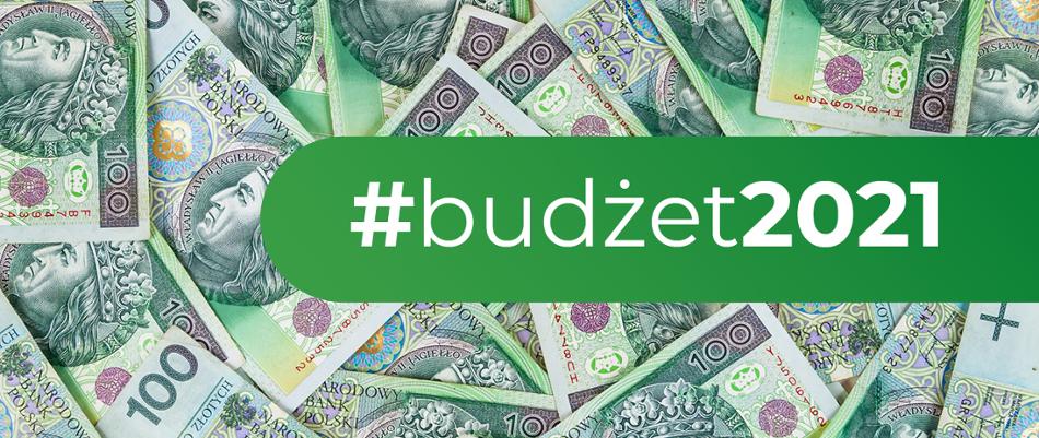 Budżet 2021 r. i strategia zarządzania długiem - infografika z kolorze zielonym, w tle banknoty 100 zł, napis budżet 2021