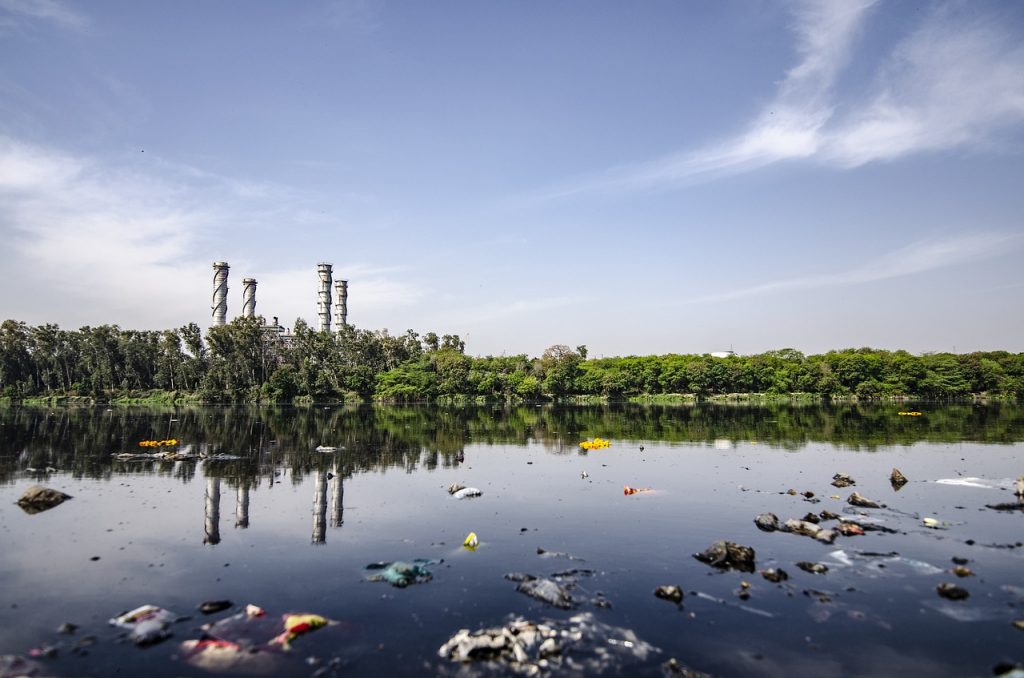 Zanieczyszczone środowisko przyczyną zgonów w Europie - staw ,  w którym pływają odpady