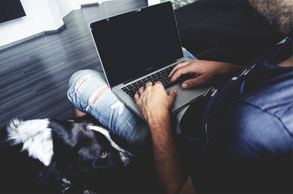 Jak sklepy zoologiczne podbijają internet? - meżczyzna siedzi na kanapie, obok psa i ma laptopa na kolanach. 
