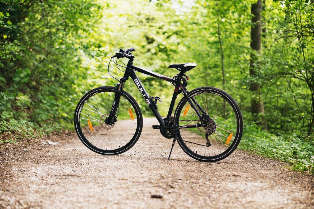 Kradną rowery na potęgę - rower stoi na leśnej ścieżce.