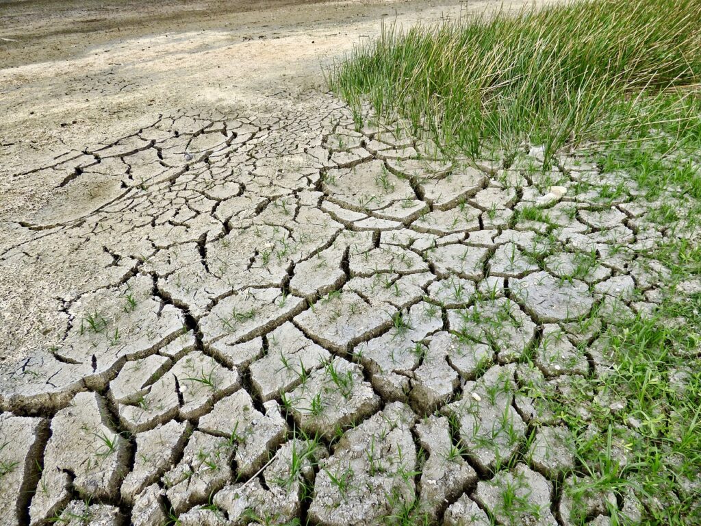 Zmiany klimatyczne zakłócają łańcuchy dostaw skuteczniej niż COVID-19 - zmiany klimatyczne, wyschnięta ziemia i trawa.