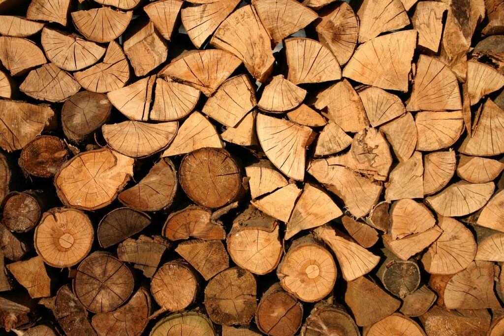 Sprzeciw branży drzewnej wobec rezygnacji Lasów Państwowych z certyfikacji FSC - drewno poukładane na sobie.