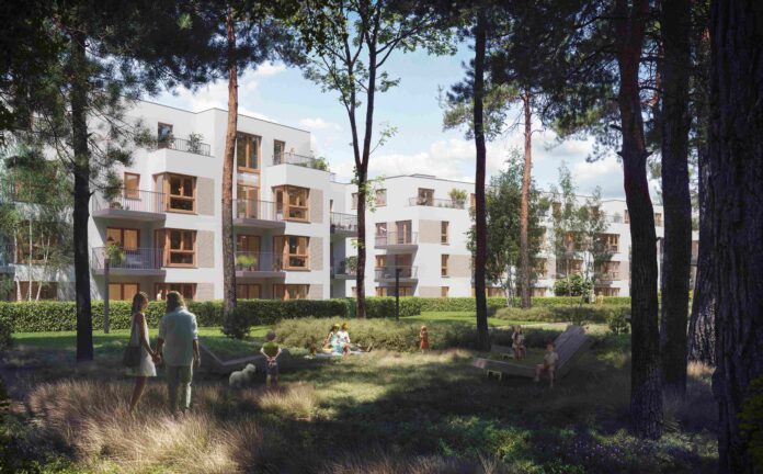 Wizualizacja 003_My Forest_High_10.12.2024__